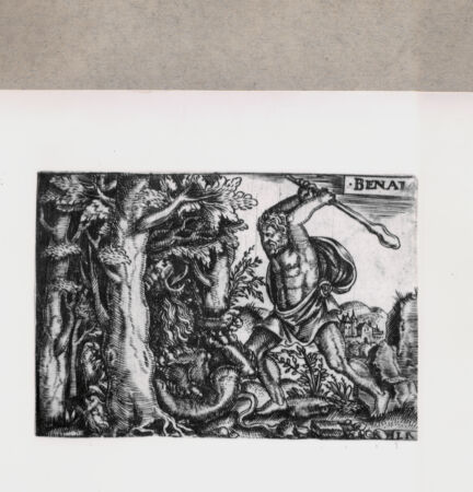 Rückseite von  [http://creativecommons.org/publicdomain/mark/1.0/] Herkules - , bh151633. Foto.