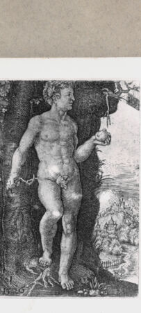 Rückseite von  [http://creativecommons.org/publicdomain/mark/1.0/] Adam - , bh151742. Foto.