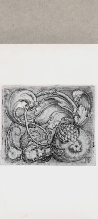 Rückseite von  [http://creativecommons.org/publicdomain/mark/1.0/] ... - , bh151793. Foto.