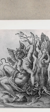 Rückseite von  [http://creativecommons.org/publicdomain/mark/1.0/] ... - , bh152054. Foto.