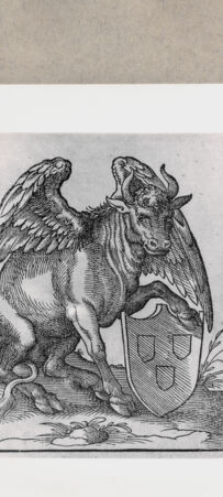 Rückseite von  [http://creativecommons.org/publicdomain/mark/1.0/] ... - , bh152058. Foto.