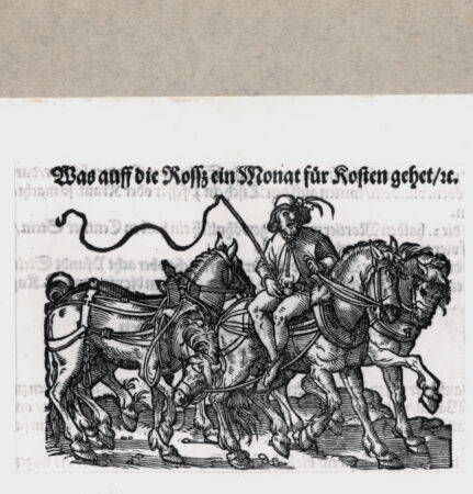 Rückseite von  [http://creativecommons.org/publicdomain/mark/1.0/] ... - , bh152227. Foto.