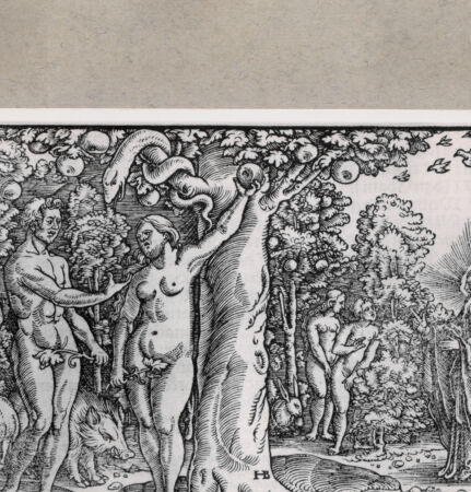 Rückseite von  [http://creativecommons.org/publicdomain/mark/1.0/] ... - , bh152284. Foto.