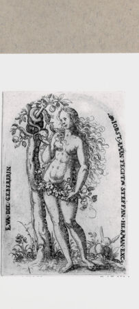 Rückseite von  [http://creativecommons.org/publicdomain/mark/1.0/] ... - , bh152712. Foto.