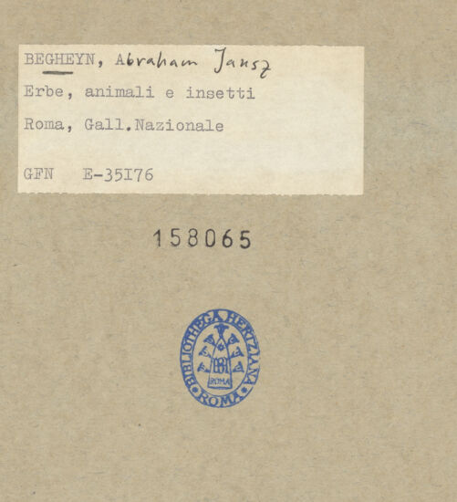 Rückseite von bh158065_recto