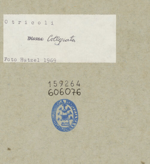 Rückseite von bh159264_bh606076_recto