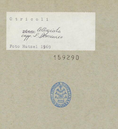 Rückseite von bh159290_recto