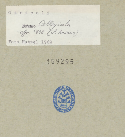 Rückseite von bh159295_recto