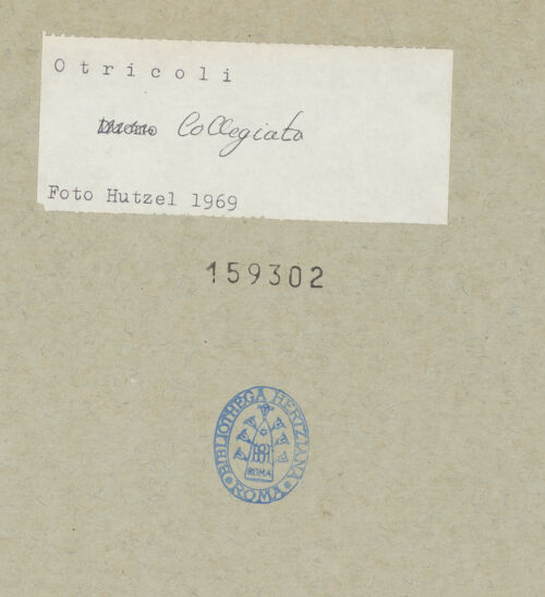 Rückseite von bh159302_recto