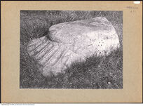 Thumbnail des dritten Ordners