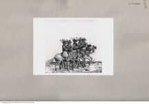 Thumbnail für 80-B-VII-p-229