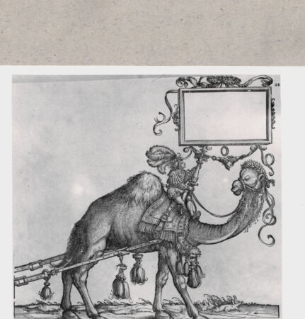 Rückseite von  [http://creativecommons.org/publicdomain/mark/1.0/] ... - , bh162988. Foto.