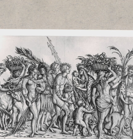 Rückseite von  [http://creativecommons.org/publicdomain/mark/1.0/] ... - , bh163017. Foto.