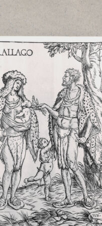 Rückseite von  [http://creativecommons.org/publicdomain/mark/1.0/] ... - , bh163551. Foto.