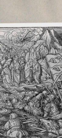 Rückseite von  [http://creativecommons.org/publicdomain/mark/1.0/] ... - , bh163640. Foto.