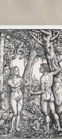 Rückseite von  [http://creativecommons.org/publicdomain/mark/1.0/] ... - , bh163642. Foto.