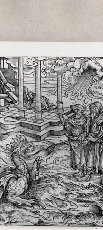 Rückseite von  [http://creativecommons.org/publicdomain/mark/1.0/] ... - , bh171190. Foto.