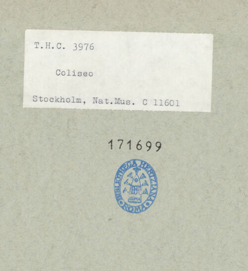 Rückseite von bh171699_recto