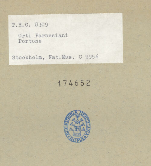 Rückseite von bh174652_recto