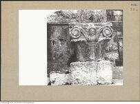 Thumbnail des zweiten Ordners