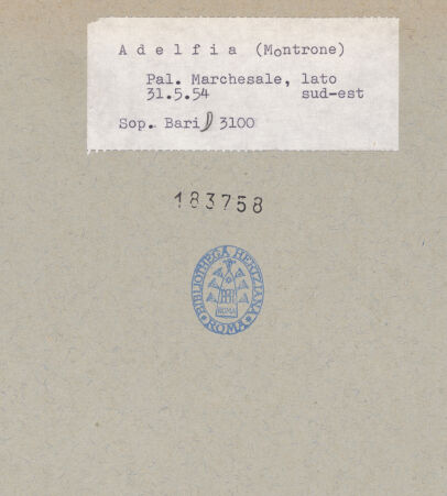 Rückseite von bh183758_recto