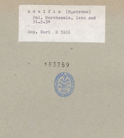 Rückseite von bh183759_recto