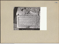 Thumbnail des dritten Ordners