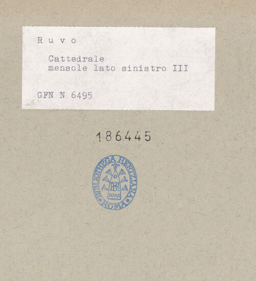 Rückseite von bh186445_recto