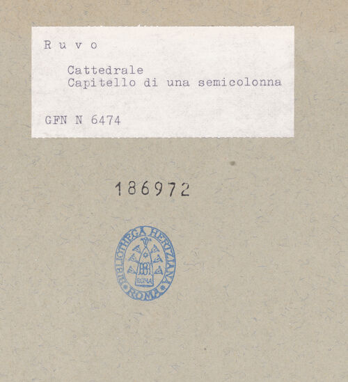 Rückseite von bh186972_recto