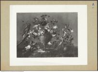 Thumbnail des zweiten Ordners