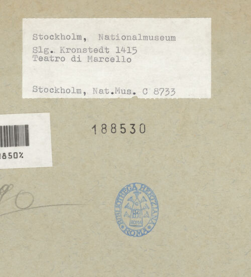 Rückseite von bh188530_recto