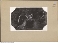 Thumbnail des 10. Ordners