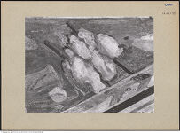 Thumbnail des 7. Ordners