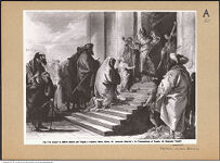 Thumbnail des vierten Ordners