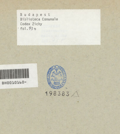 Rückseite von Biblioteca Comunale [https://www.deutsche-digitale-bibliothek.de/content/lizenzen/rv-ez/] Codex ZichyOrnamente - , bh198383_recto. Foto.