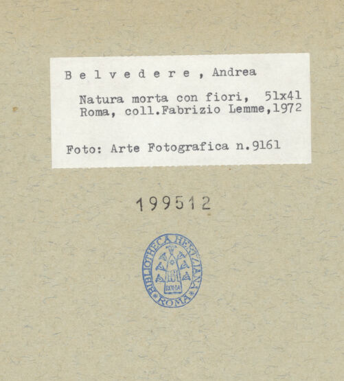 Rückseite von bh199512_recto