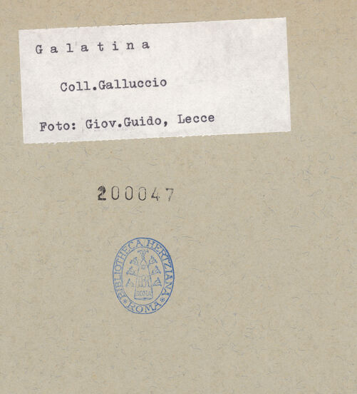 Rückseite von bh200047_recto