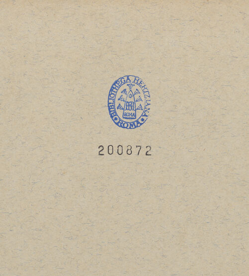 Rückseite von Alinari [https://www.deutsche-digitale-bibliothek.de/content/lizenzen/rv-ez/] Via Medina - Via Medina und Via San Carlo, bh200872_recto. Foto.