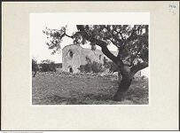 Thumbnail des 12. Ordners