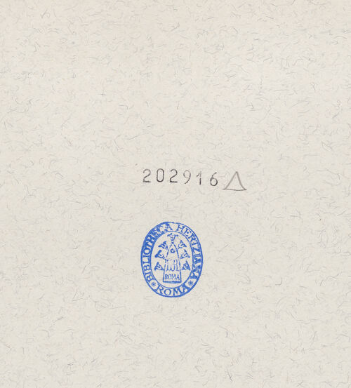 Rückseite von Alinari [https://www.deutsche-digitale-bibliothek.de/content/lizenzen/rv-ez/] Santa ChiaraNonnenchor - Ansicht von Südwesten, bh202916_recto. Foto.