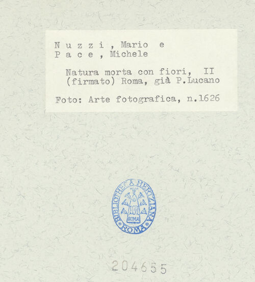 Rückseite von bh204655_recto