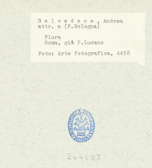 Rückseite von bh204687_recto