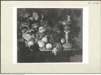 Thumbnail des 13. Ordners