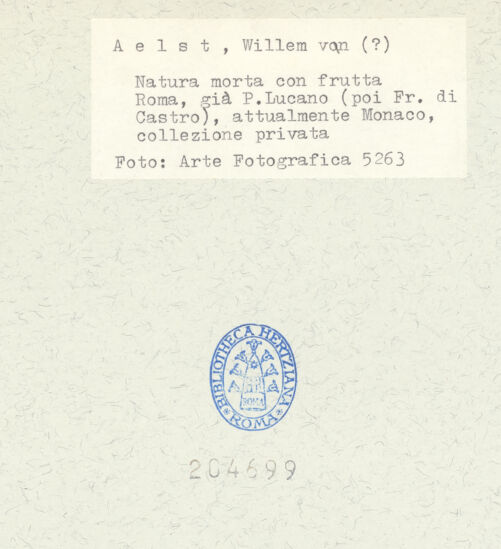 Rückseite von bh204699_recto