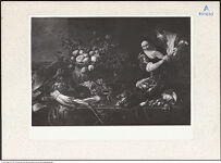 Thumbnail des 11. Ordners