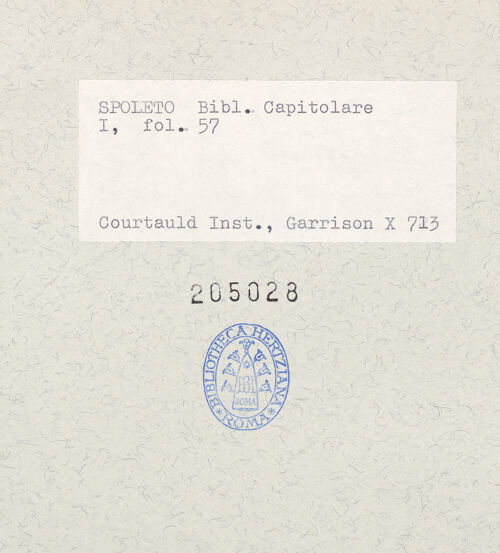 Rückseite von bh205028_recto