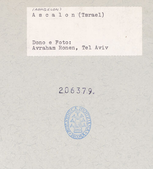 Rückseite von bh206379_recto