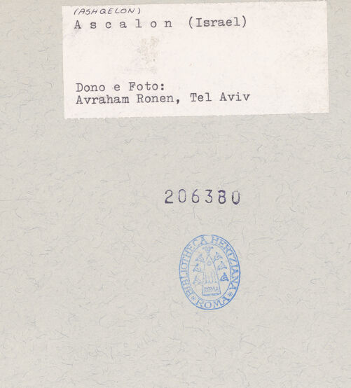 Rückseite von bh206380_recto