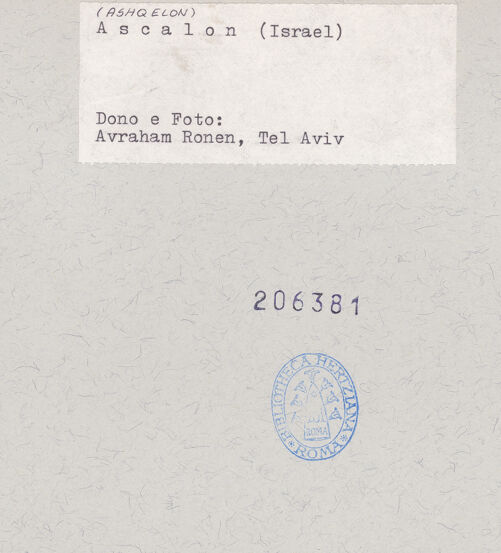 Rückseite von bh206381_recto