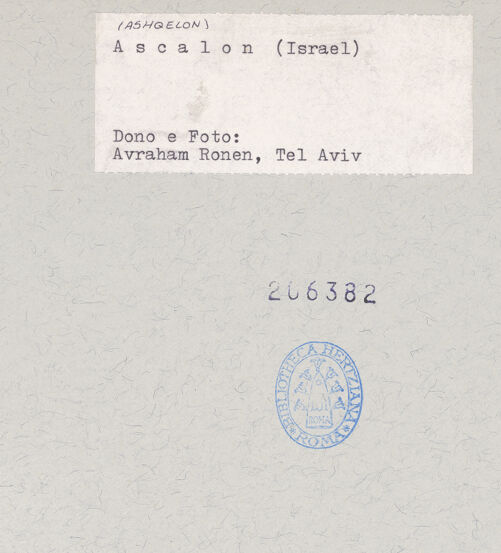 Rückseite von bh206382_recto